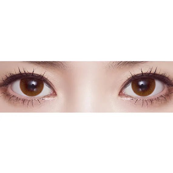 Lensme Velvet Pop Brown (Monthly/2Pc)