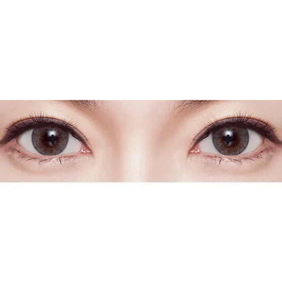 Lensme Velvet Pop Gray (Monthly/2Pc)