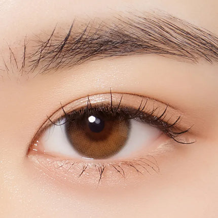 Olola 1Day Daymood Brown (Monthly/2Pc)