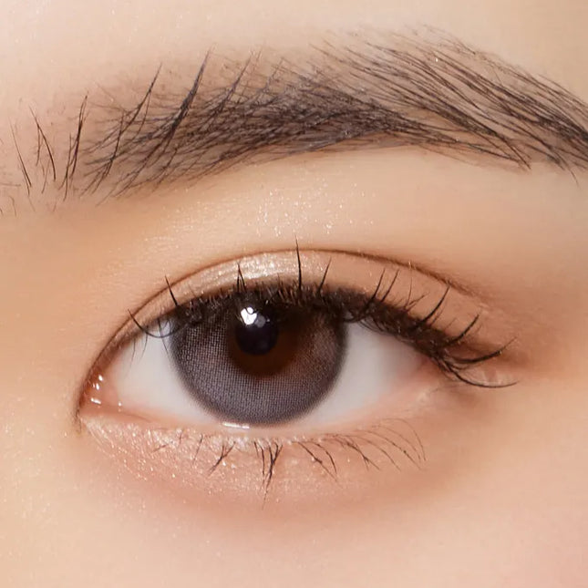 Olola 1Day Daymood Gray Colored Contact Lenses (1Day/10Pc)
