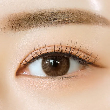 Olola 1Day Mellows Muse Brown (Monthly/2Pc)