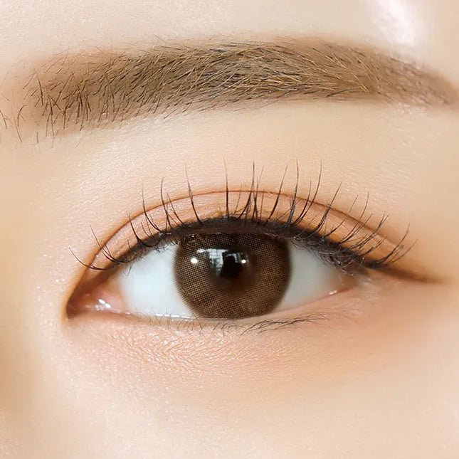 Olola 1Day Mellows Muse Brown Colored Contact Lenses (1Day/10Pc)