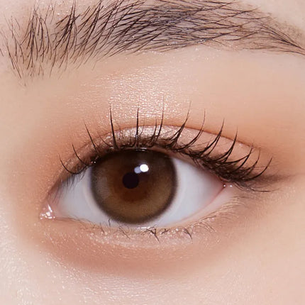 Olola 1Day Putiry Shine Hazel Brown (Monthly/2Pc)