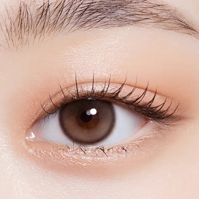 Olola 1Day Putiry Shine Taupe Brown Colored Contact Lenses (1Day/10Pc)