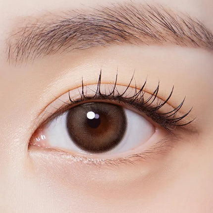 Olola Muted Choco Colored Contact Lenses (1Month/2Pc)