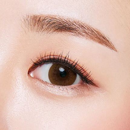 Olens Bigsome Brown Monthly (1Month/2Pc)