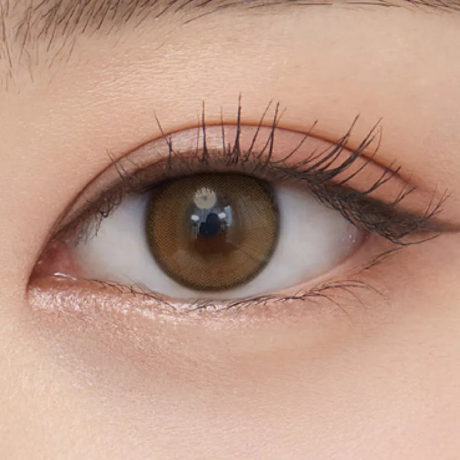 Olens Real Ring Brown 1-Day (Daily/20Pc) Olens x NewJeans