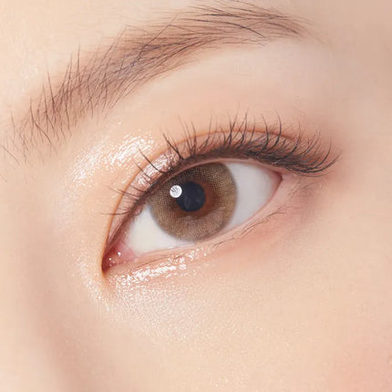 Olens Russian Velvet Brown Monthly (1Month/2Pc)