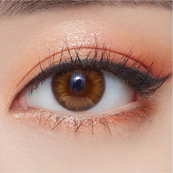 Olens Spanish 1Day Brown Daily (1Day/20Pc)