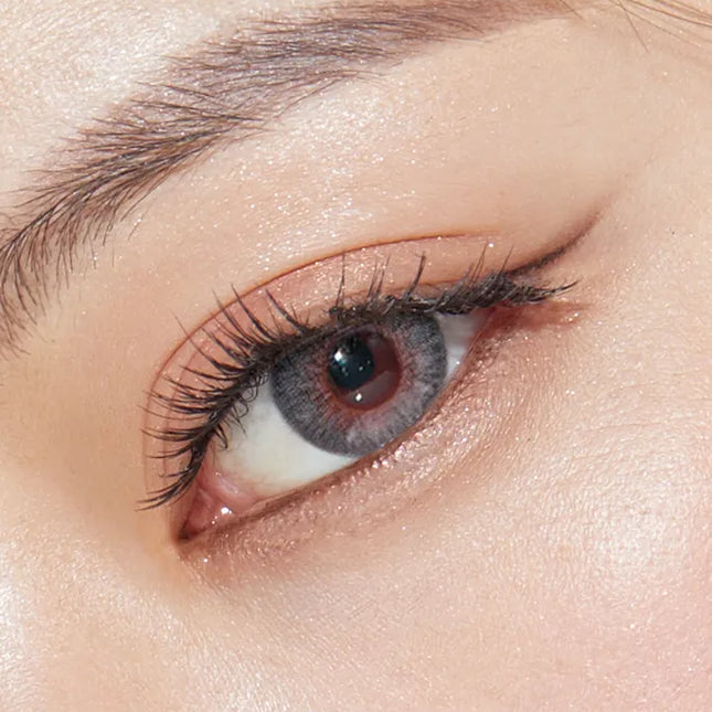 Olens Symphony 3Con Gray Monthly (1Month/2Pc)