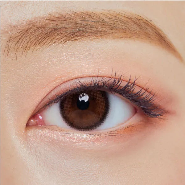 Olens Vivi Ring 1-Day Choco (Daily/20Pc)