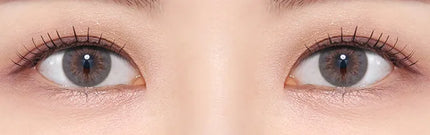 Olens French Gold 3 Con Gray Daily (1Day/10Pc)