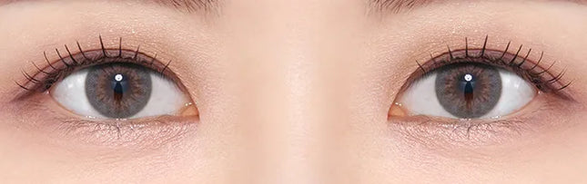 Olens French Gold 3 Con Gray Daily (1Day/10Pc)