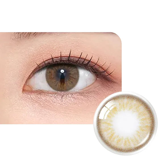 Olens French Gold 3 Con Hazel Daily (1Day/10Pc)