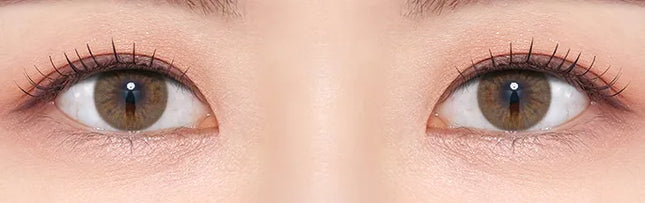 Olens French Gold 3 Con Hazel Daily (1Day/10Pc)