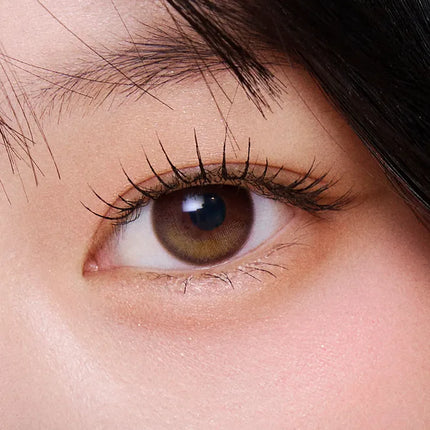 Olens Glowy 1-Day Brown (Daily/10Pc) Olens x NewJeans