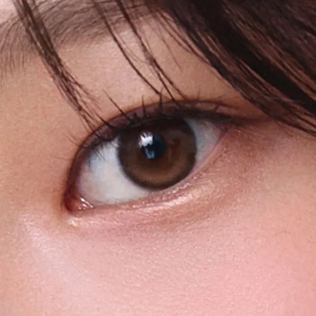 Olens Glowy Natural Mocha Brown Daily (1Day/10Pc) Olens x NewJeans