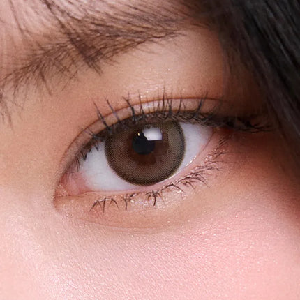 Olens Mood Night 1-Day Mood Brown (Daily/10Pc) Olens x NewJeans