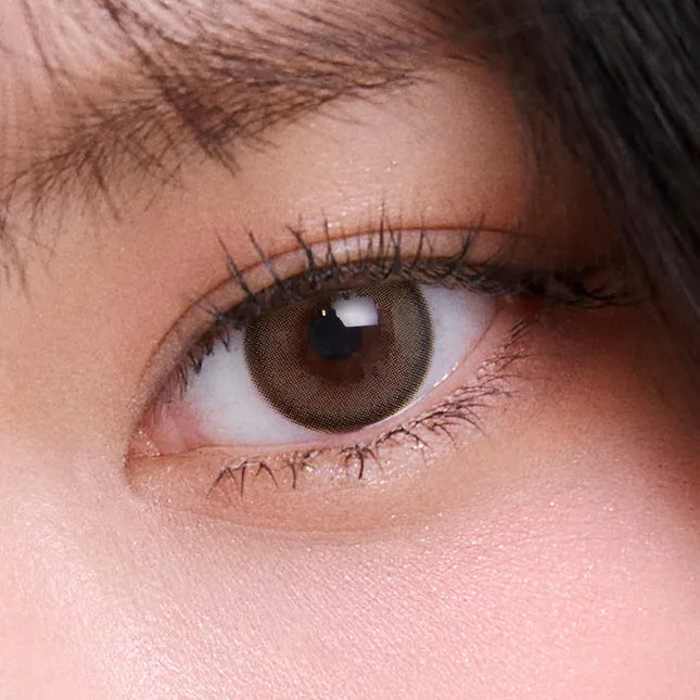 Olens Mood Night Mood Brown Daily (1Day/10Pc) Olens x NewJeans